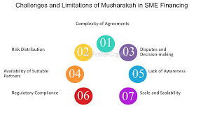 7. Part 2 - Financing of SME remains main hurdle