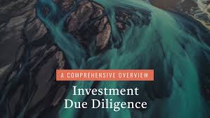 12. The Investment Due Diligence